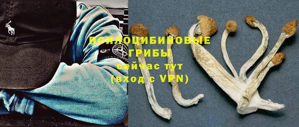 винт Покачи