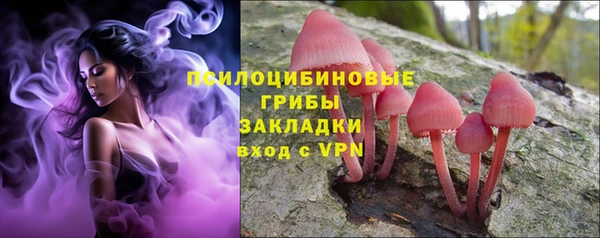 ПСИЛОЦИБИНОВЫЕ ГРИБЫ Покров
