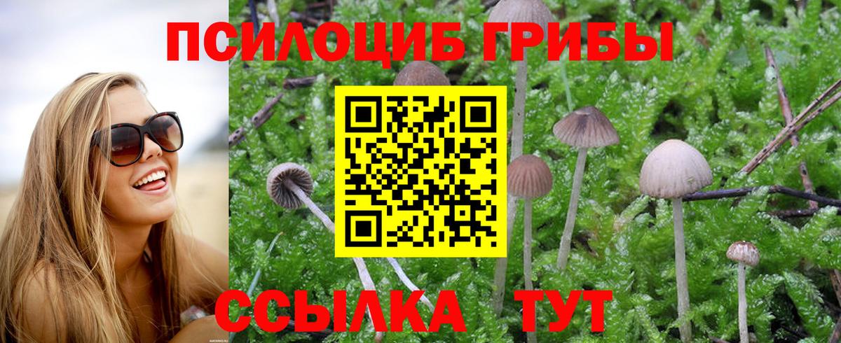 где купить наркоту  Галлюциногенные грибы ЛСД  Вход с VPN  Верхняя Салда  Галлюциногенные грибы прущие грибы 
