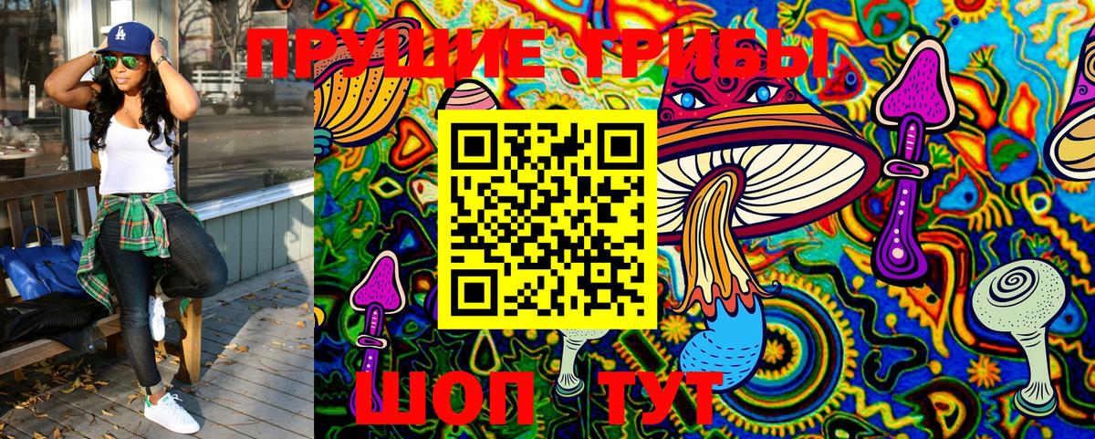 Псилоцибиновые грибы MAGIC MUSHROOMS  где купить наркотик  Верхняя Салда  Галлюциногенные грибы Cubensis 